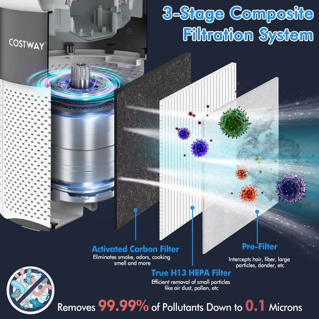 Air Purifier with H13 True HEPA Filter for Home